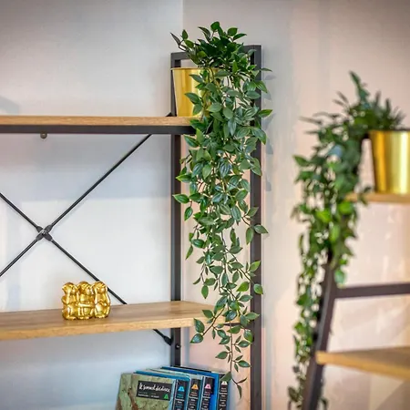 Newhome - Clinique Mutualiste / Belle Electrique * Grenoble