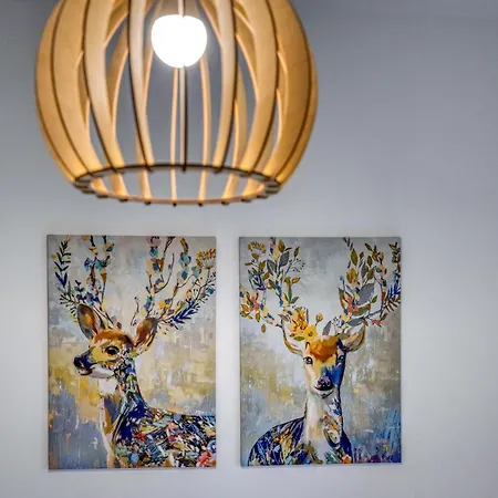 Newhome - Clinique Mutualiste / Belle Electrique Grenoble